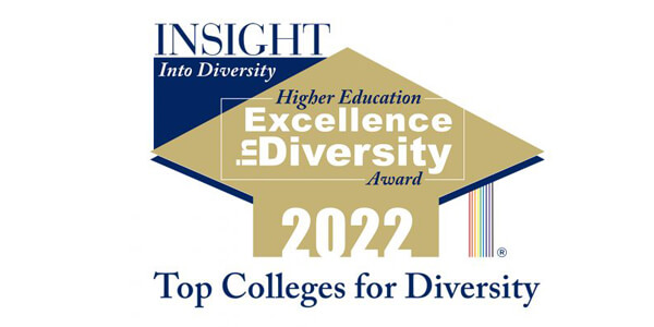 Excellence in Diversity Award 2021