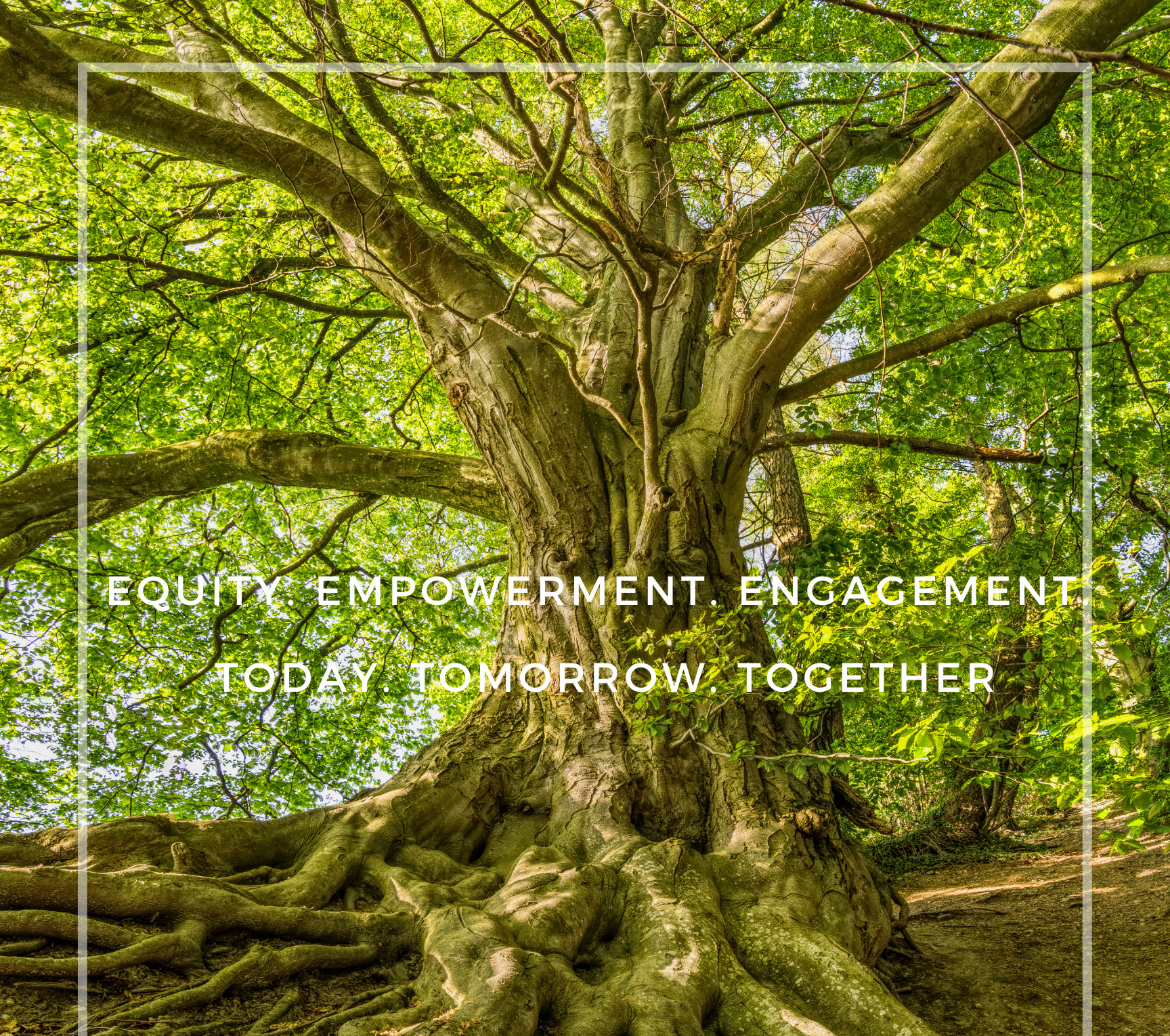 Equity.-Empowerment.-Engagement.-Today.-Tomorrow.-Together.png